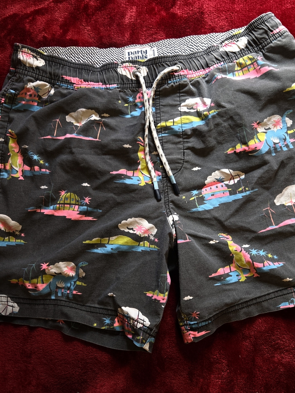 Party Pants Men’s Black Dino Print Swim Trunks